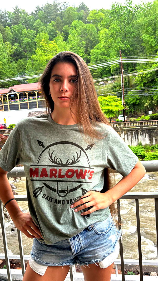 mckinley_1 image ~ Altpins