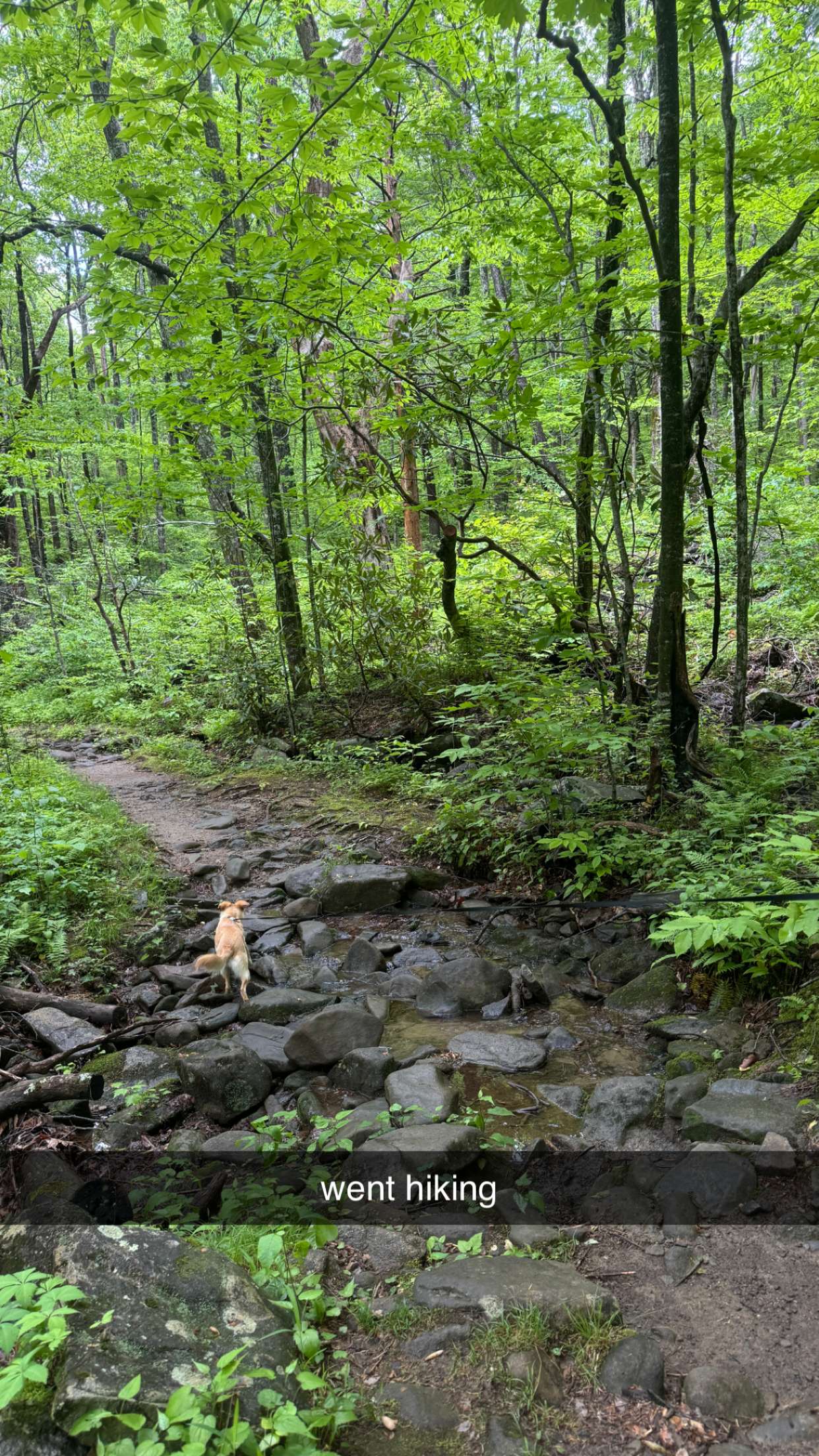 mckinley_1 snapchat image archive image