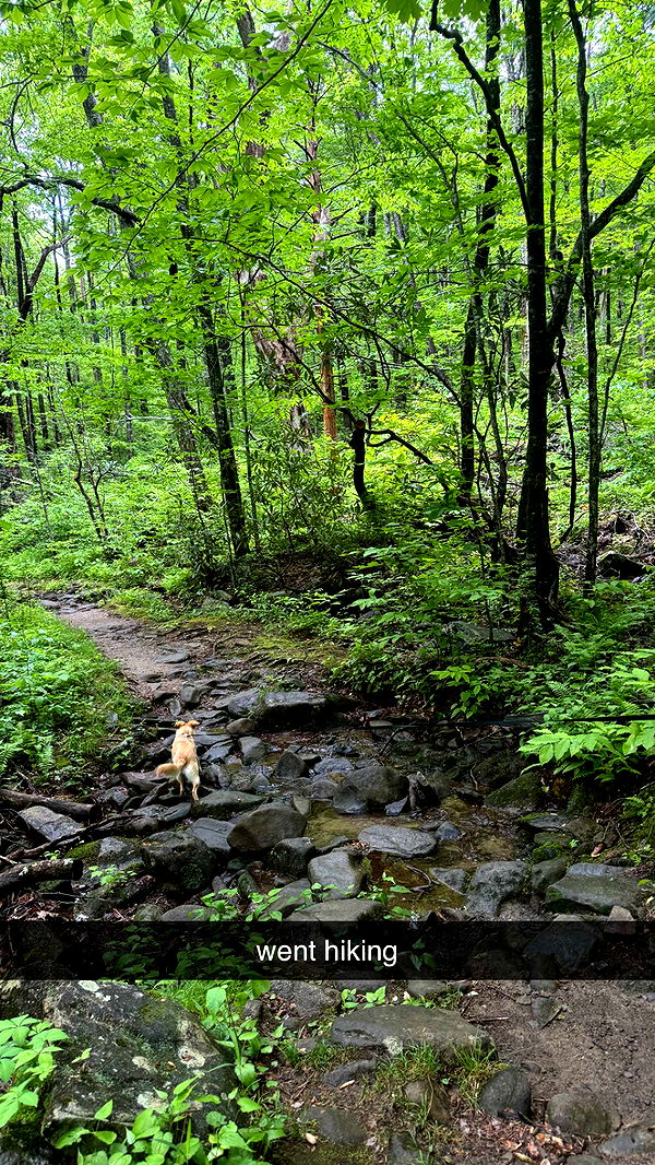 mckinley_1 image ~ Altpins