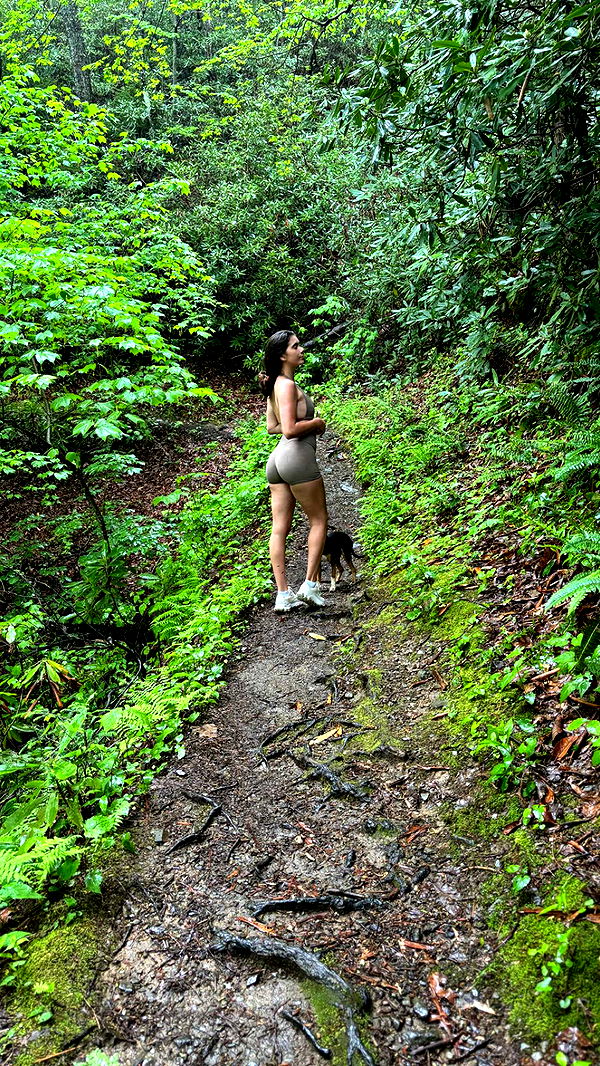 mckinley_1 image ~ Altpins