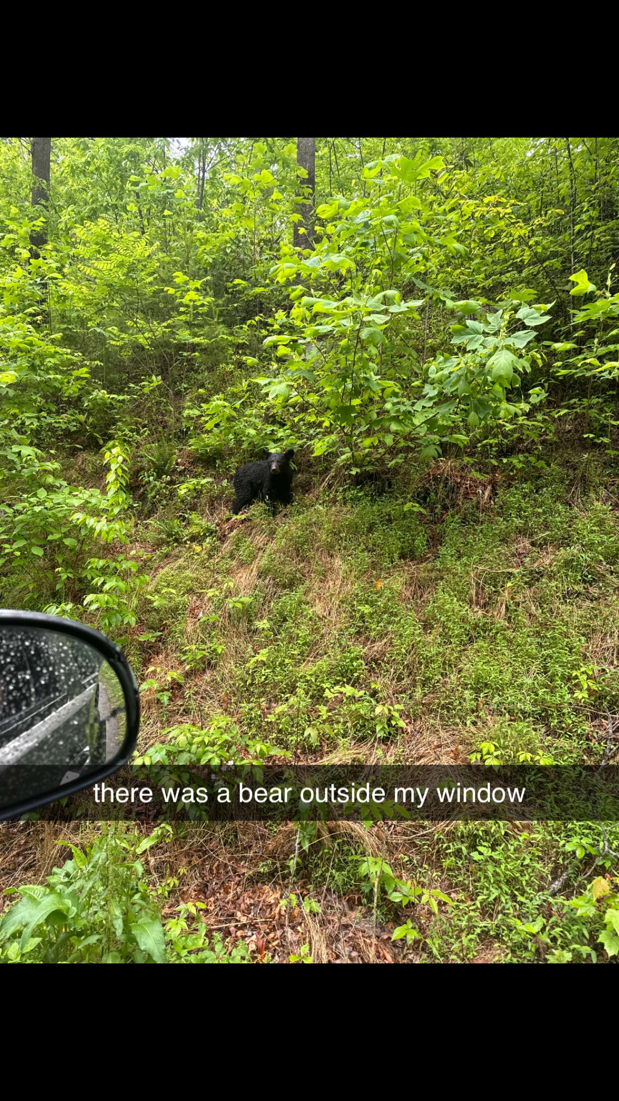 mckinley_1 snapchat image archive image