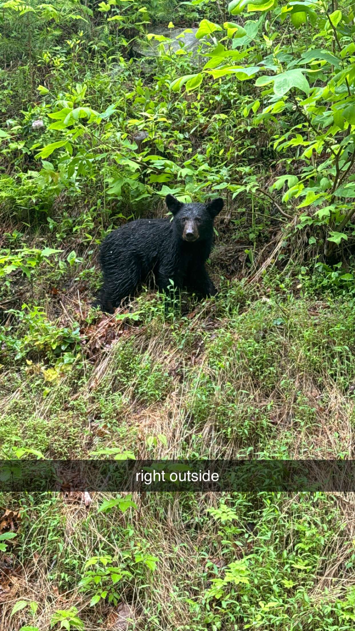 mckinley_1 snapchat image archive image