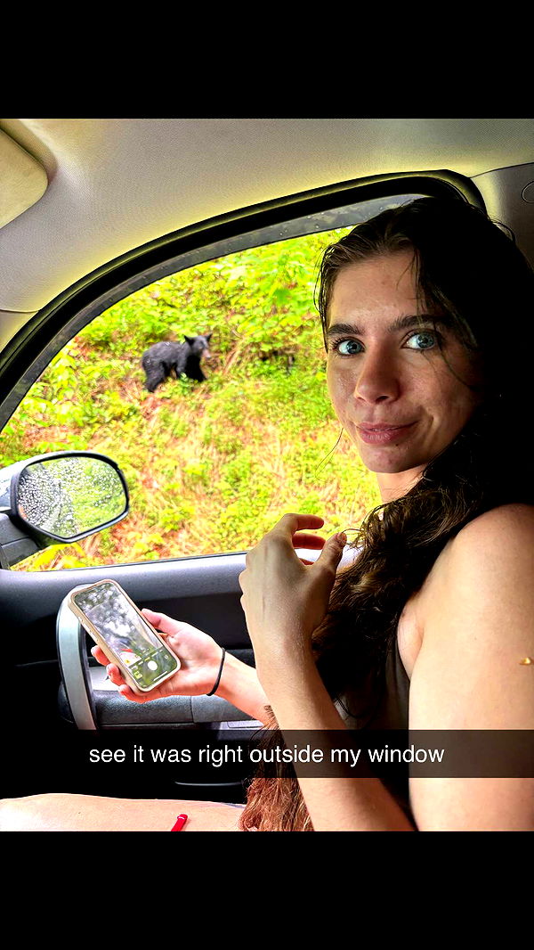 mckinley_1 image ~ Altpins