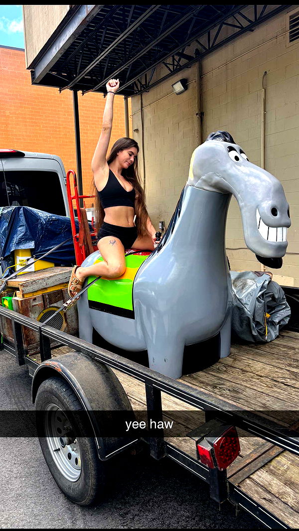 mckinley_1 image ~ Altpins