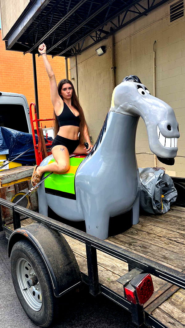 mckinley_1 image ~ Altpins