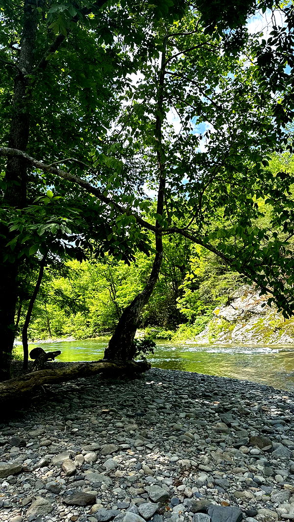 mckinley_1 image ~ Altpins