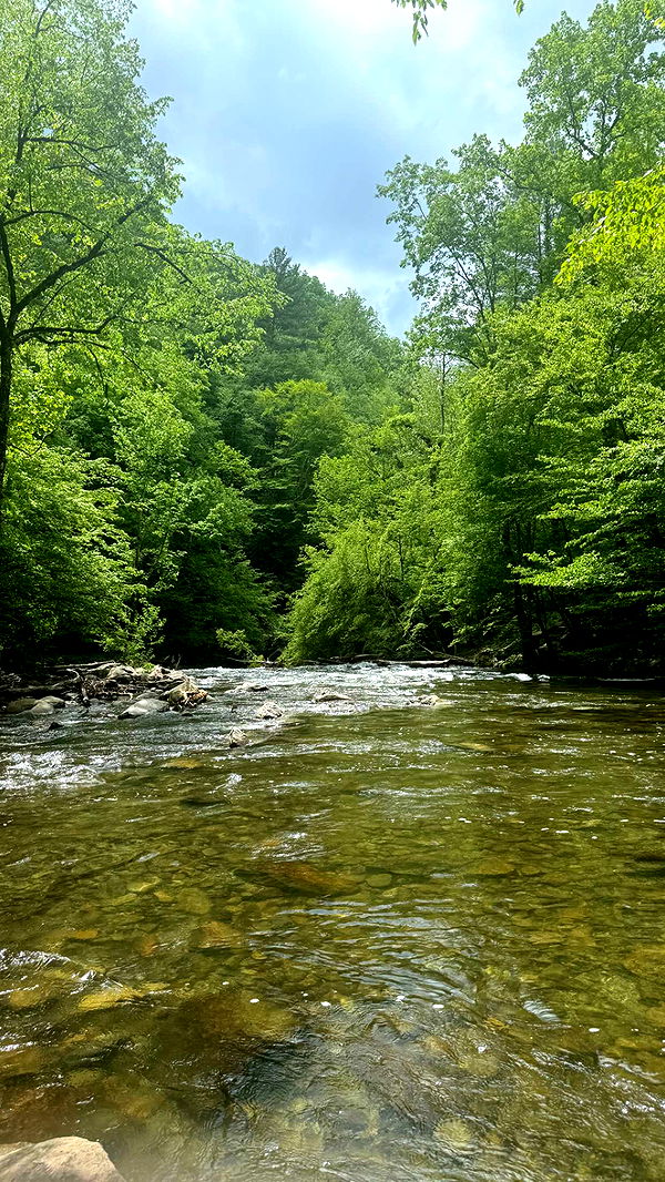 mckinley_1 image ~ Altpins