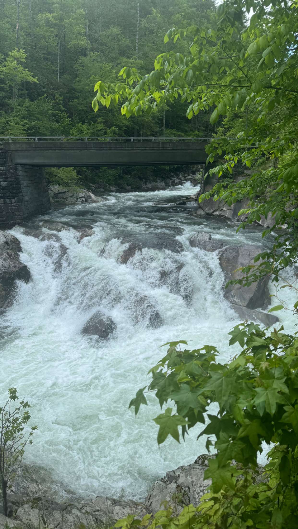 mckinley_1 snapchat image archive image