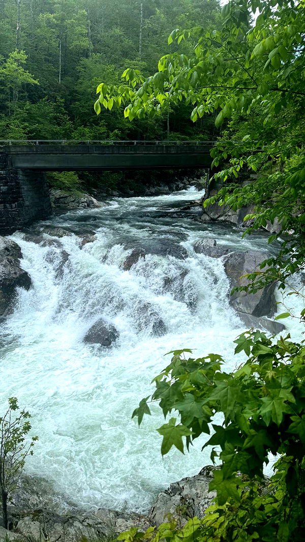 mckinley_1 image ~ Altpins