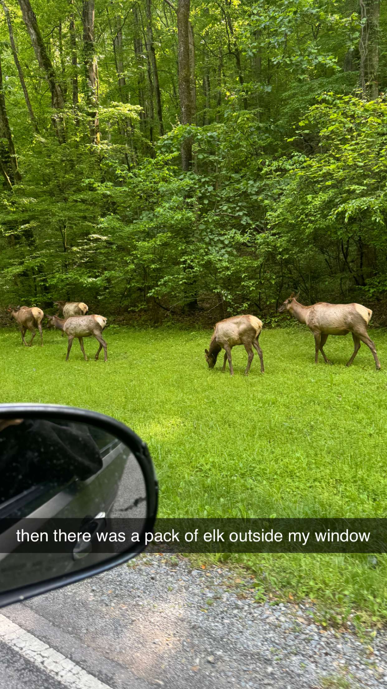 mckinley_1 snapchat image archive image