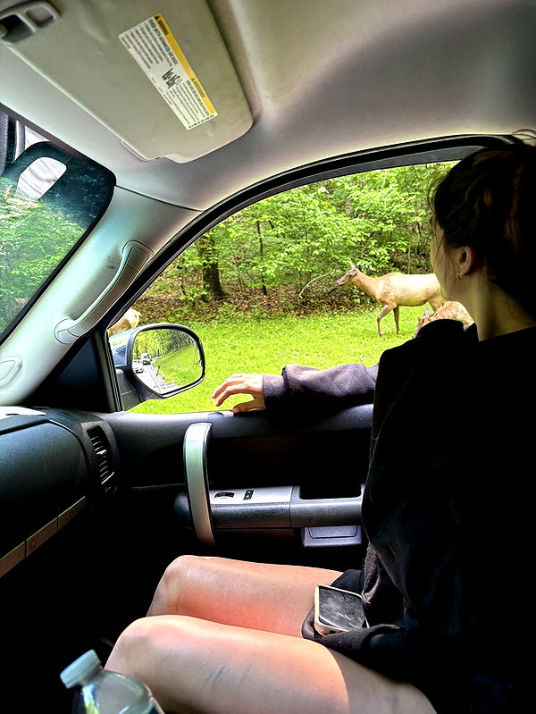 mckinley_1 image ~ Altpins