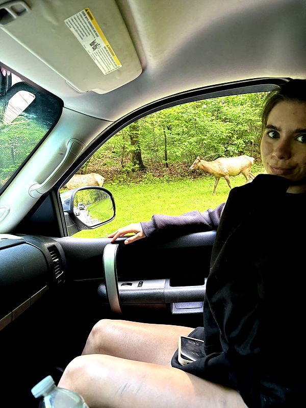 mckinley_1 image ~ Altpins