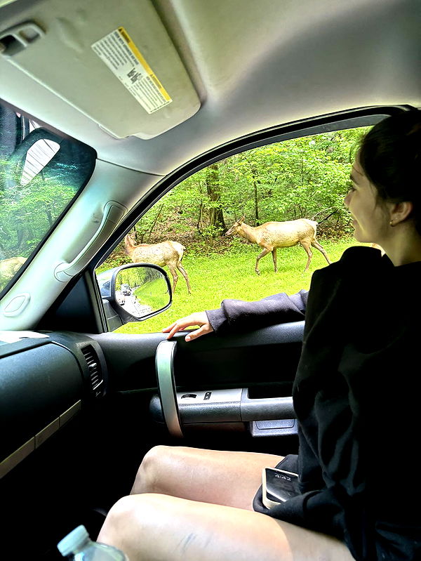 mckinley_1 image ~ Altpins