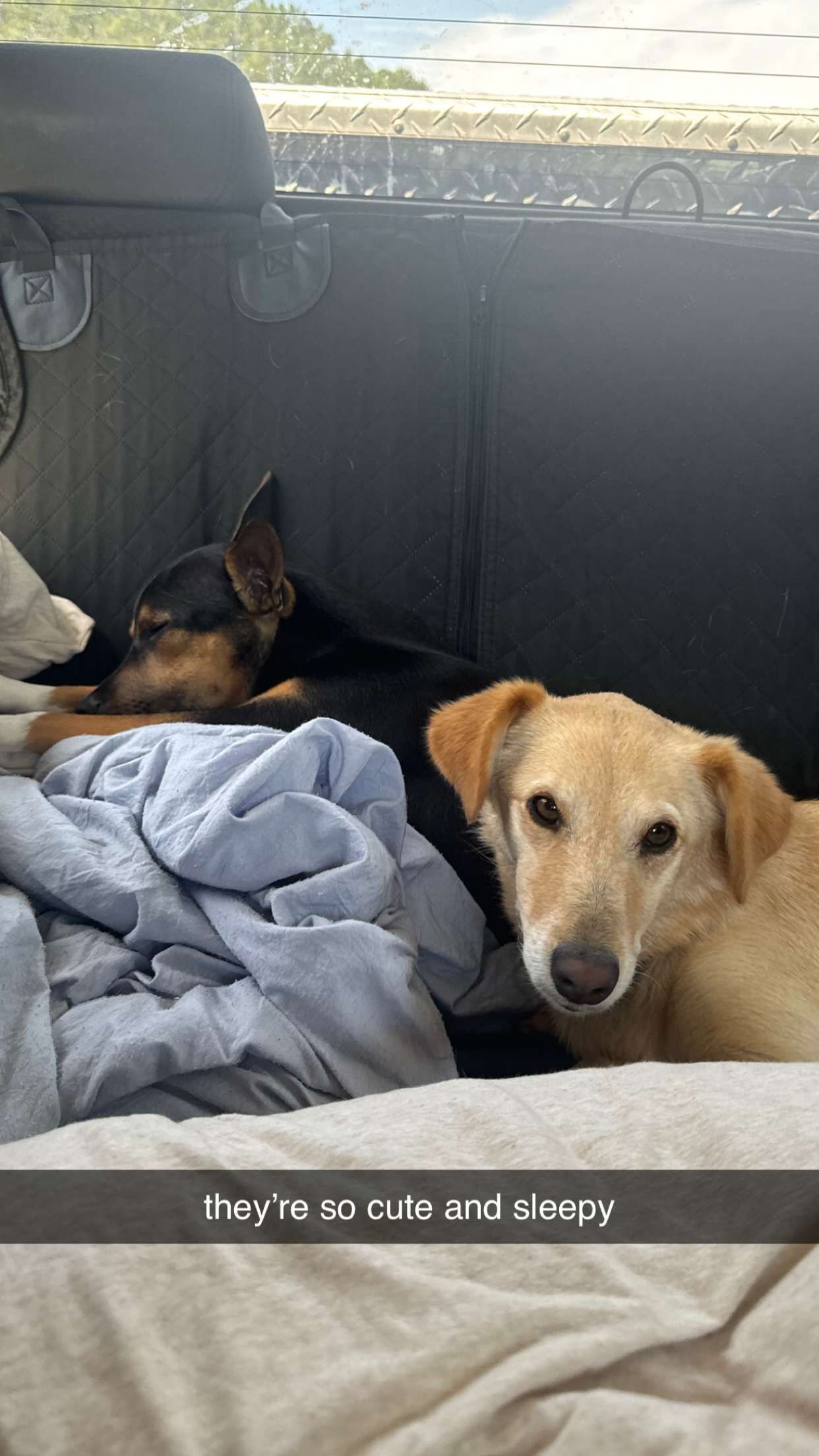 mckinley_1 snapchat image archive image