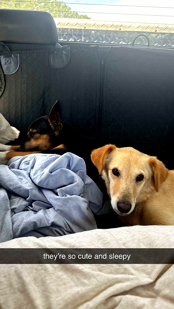 mckinley_1 image ~ Altpins