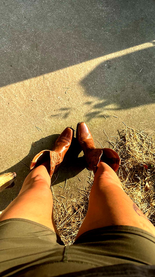 mckinley_1 image ~ Altpins