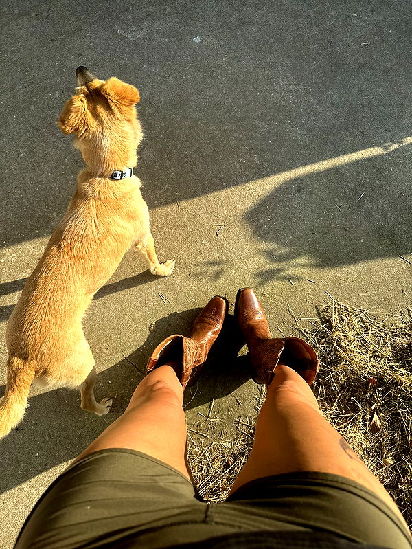 mckinley_1 image ~ Altpins