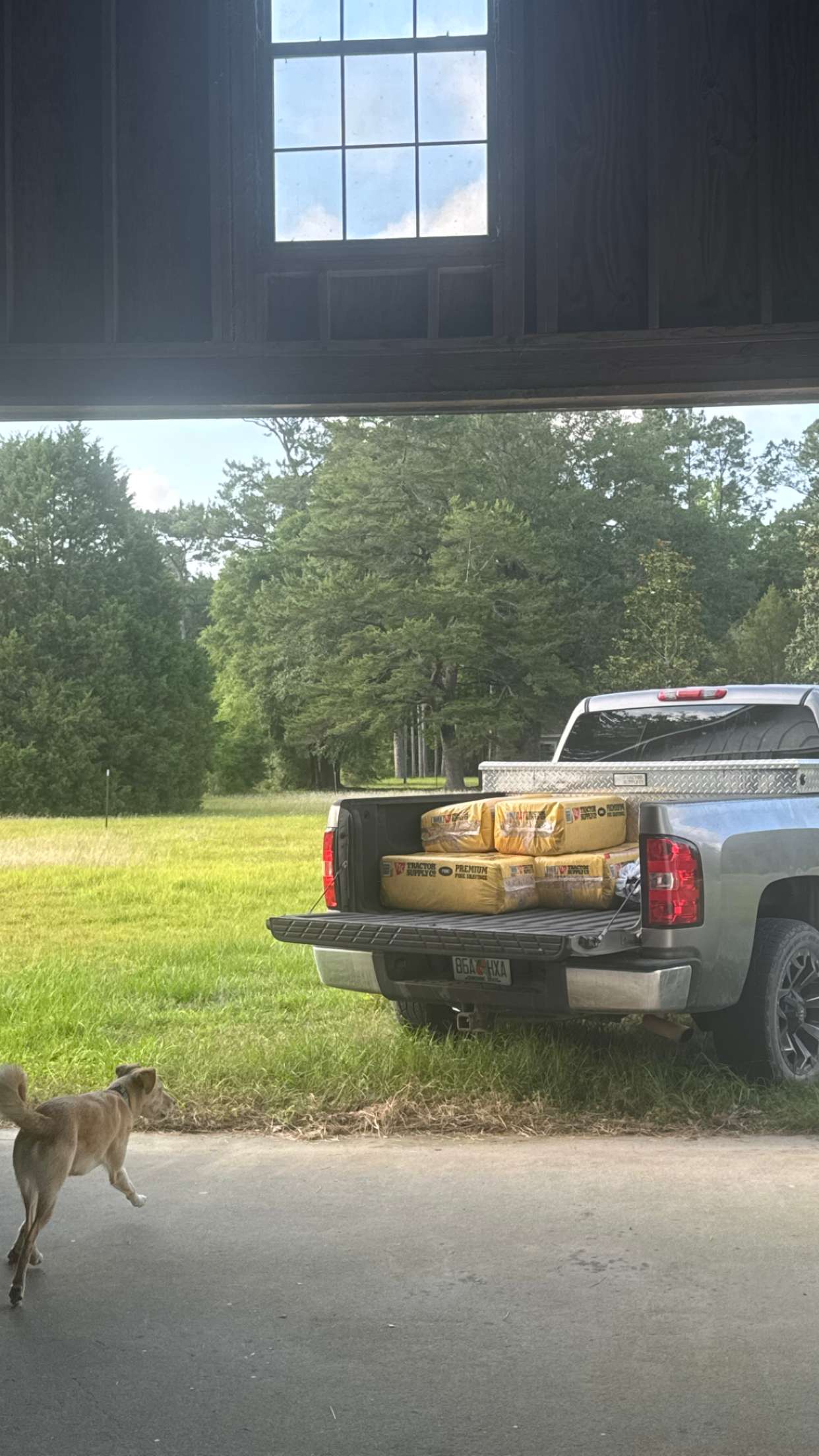 mckinley_1 snapchat image archive image