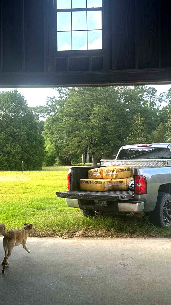 mckinley_1 image ~ Altpins