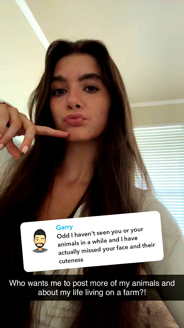 mckinley_1 image ~ Altpins