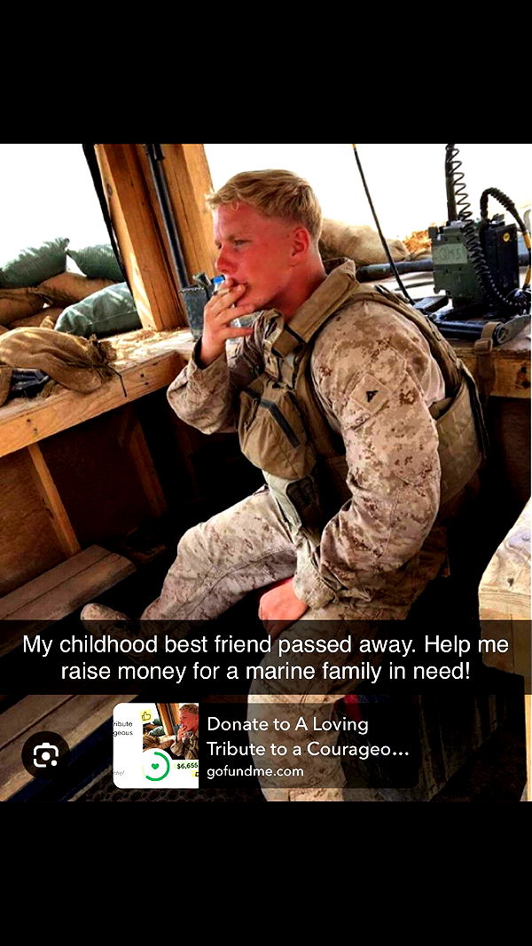 mckinley_1 image ~ Altpins