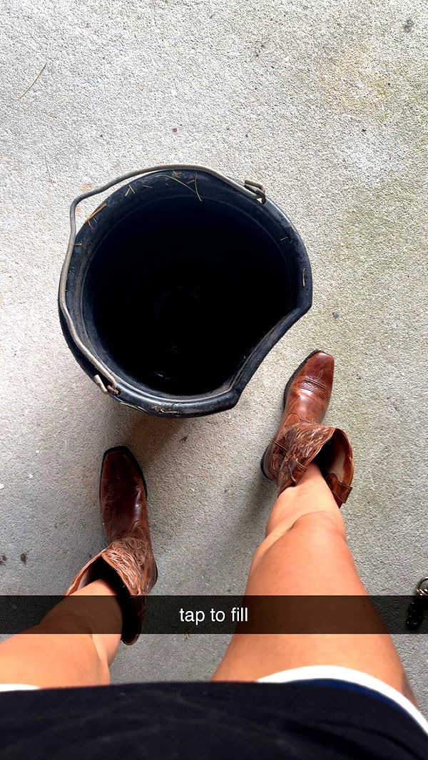 mckinley_1 image ~ Altpins