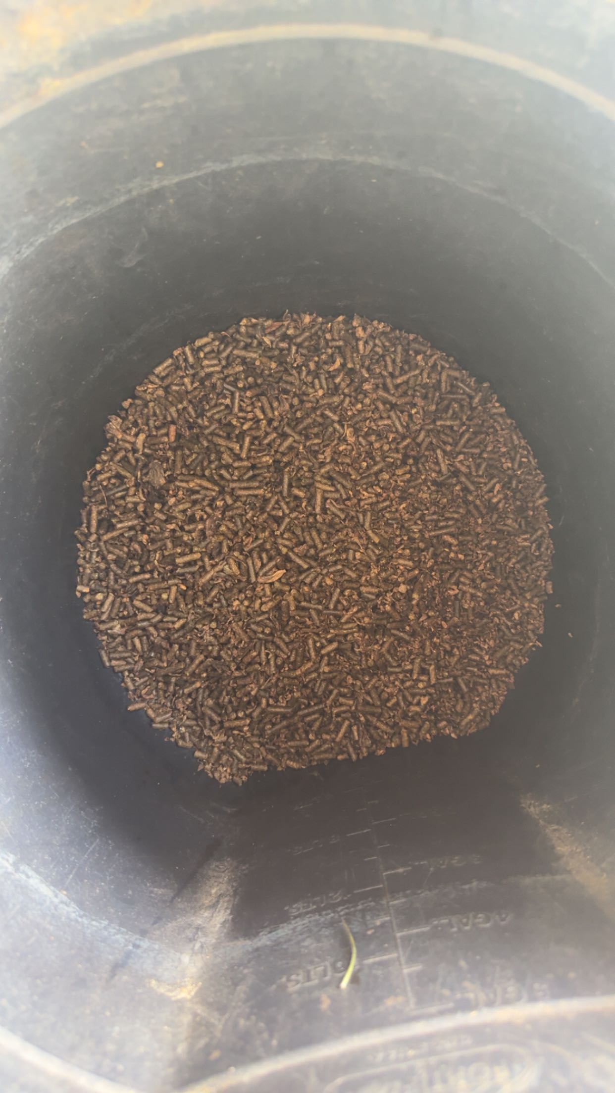 mckinley_1 snapchat image archive image