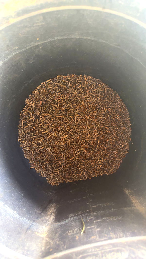 mckinley_1 image ~ Altpins