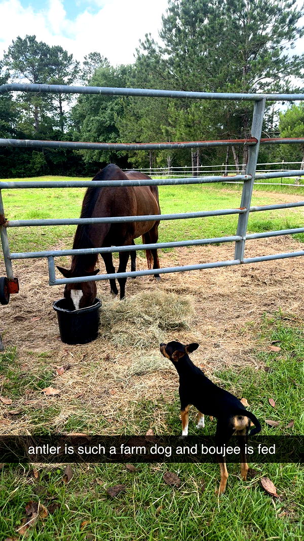 mckinley_1 image ~ Altpins