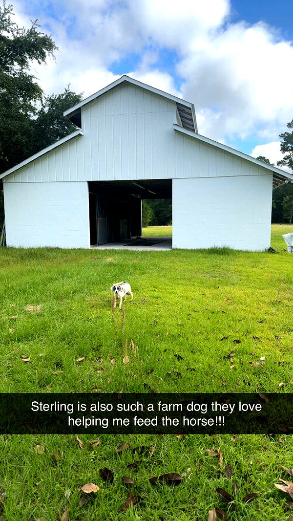 mckinley_1 image ~ Altpins