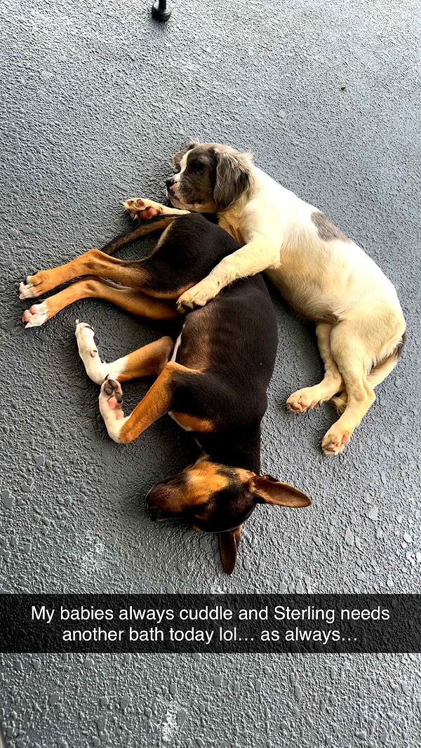 mckinley_1 image ~ Altpins