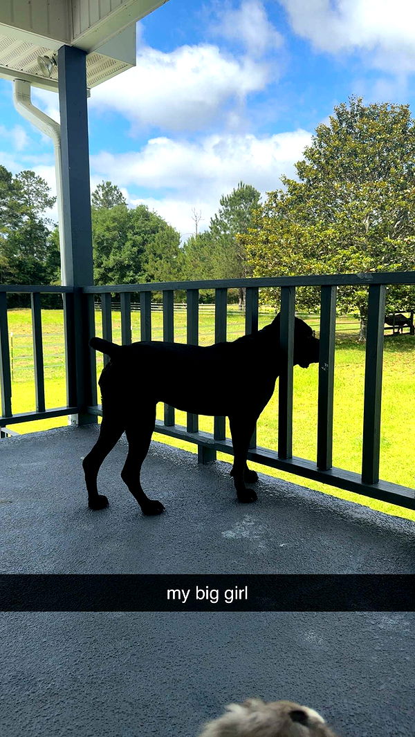 mckinley_1 image ~ Altpins