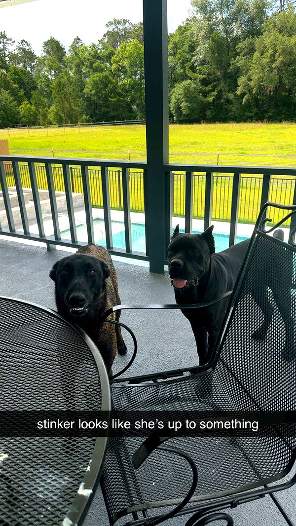 mckinley_1 image ~ Altpins