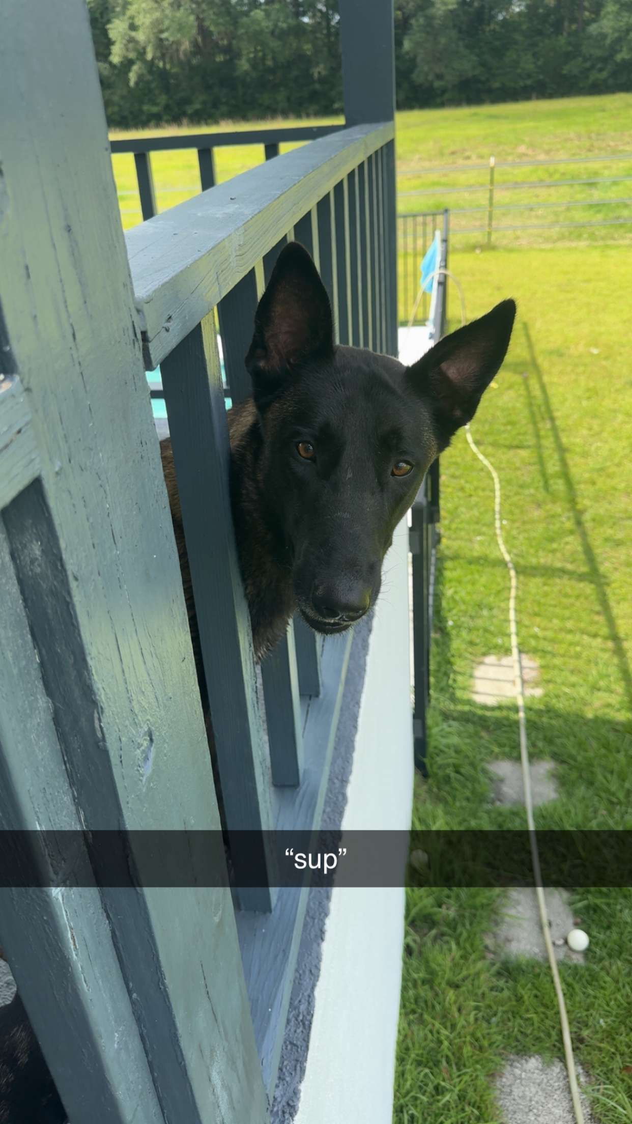 mckinley_1 snapchat image archive image