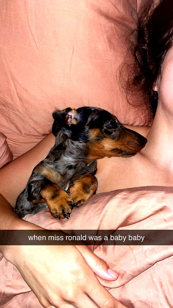 mckinley_1 image ~ Altpins