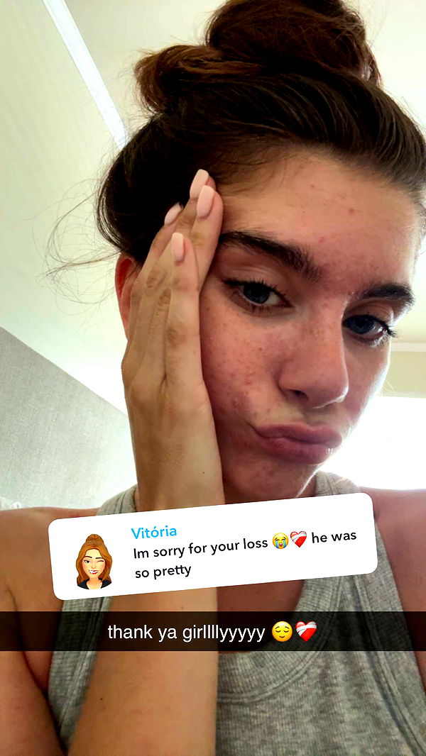 mckinley_1 image ~ Altpins