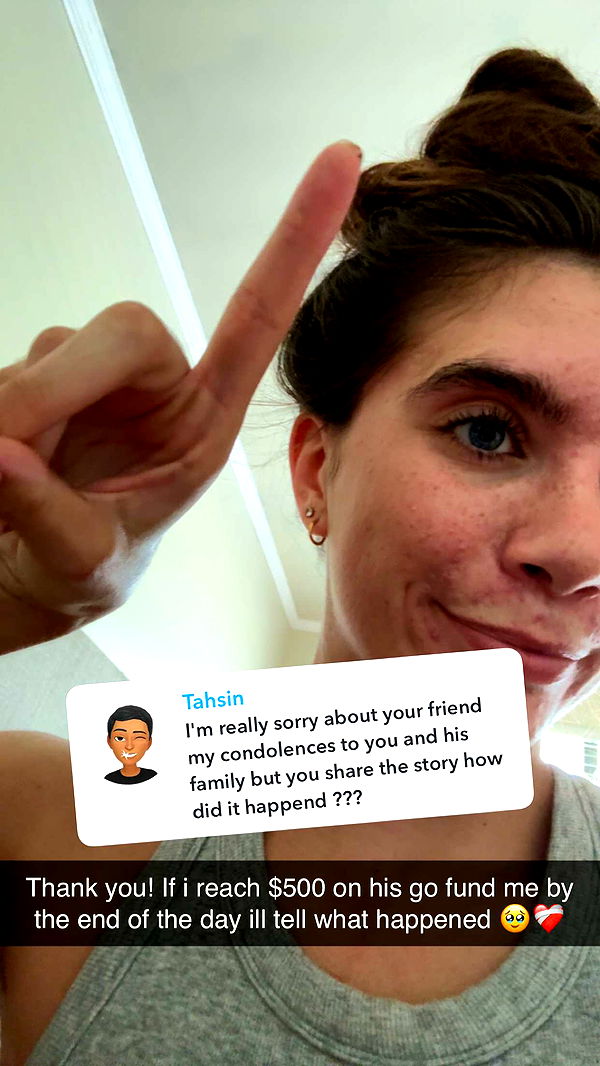 mckinley_1 image ~ Altpins