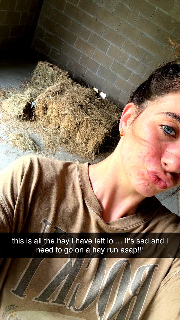 mckinley_1 image ~ Altpins