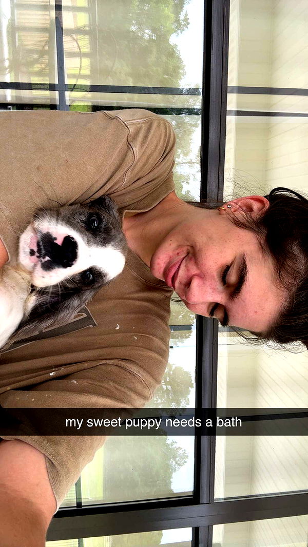 mckinley_1 image ~ Altpins