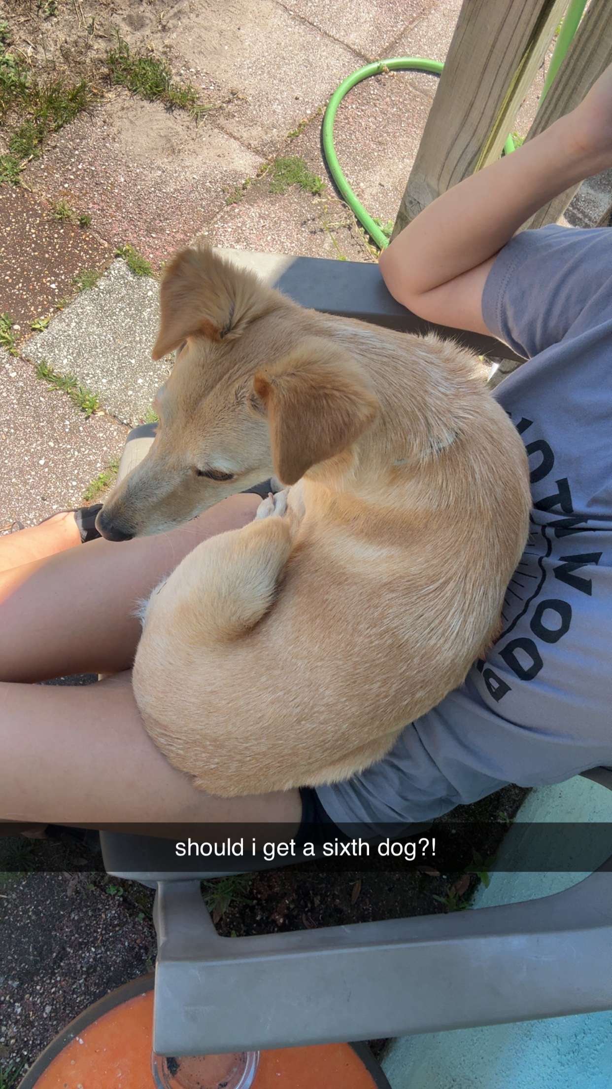 mckinley_1 snapchat image archive image