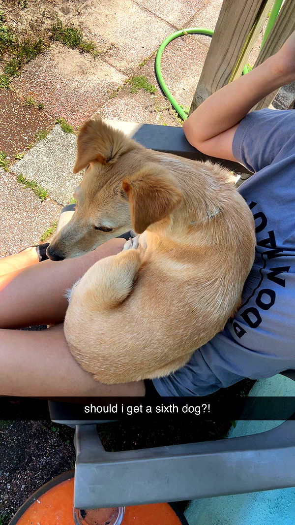 mckinley_1 image ~ Altpins