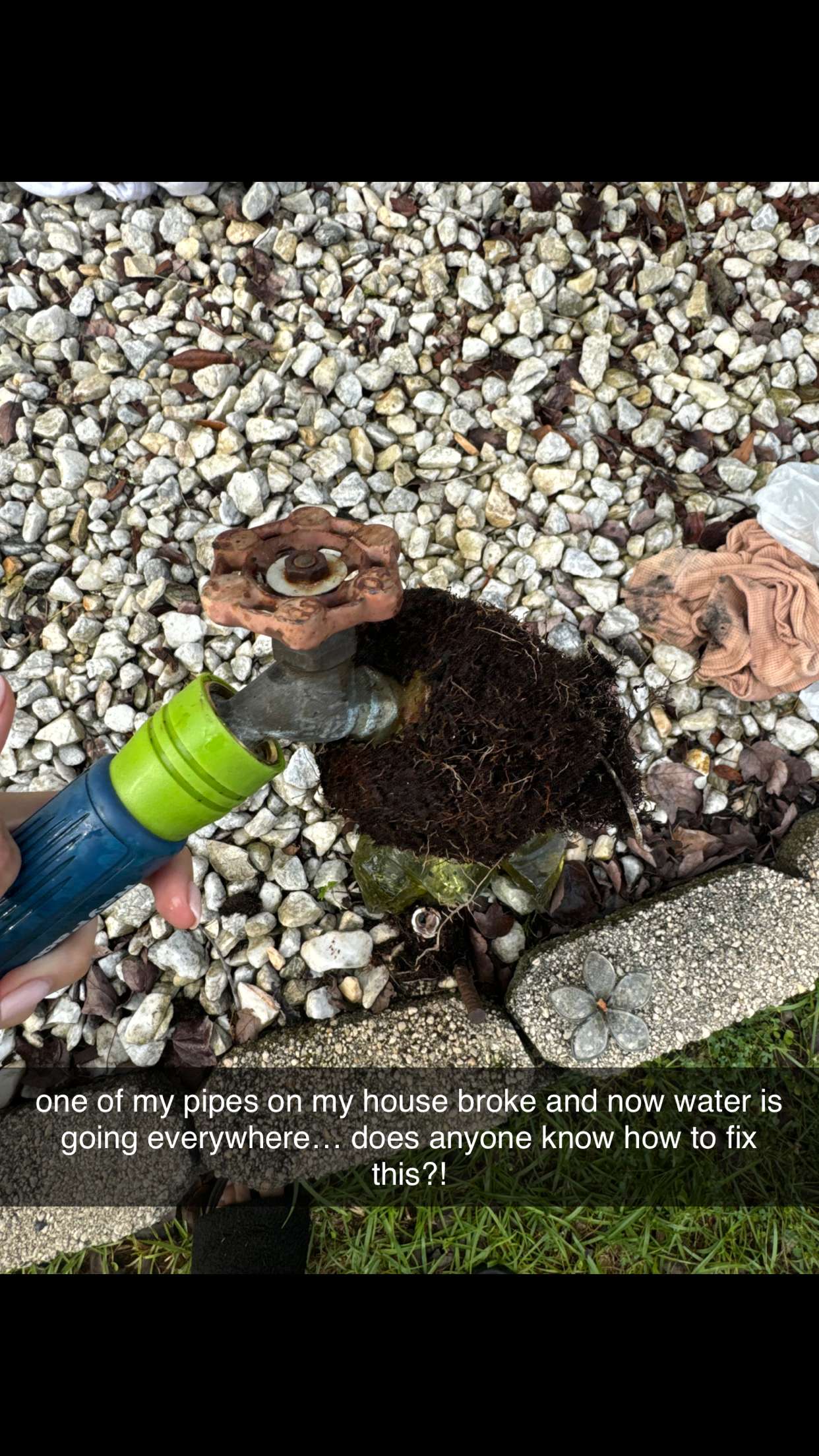 mckinley_1 snapchat image archive image