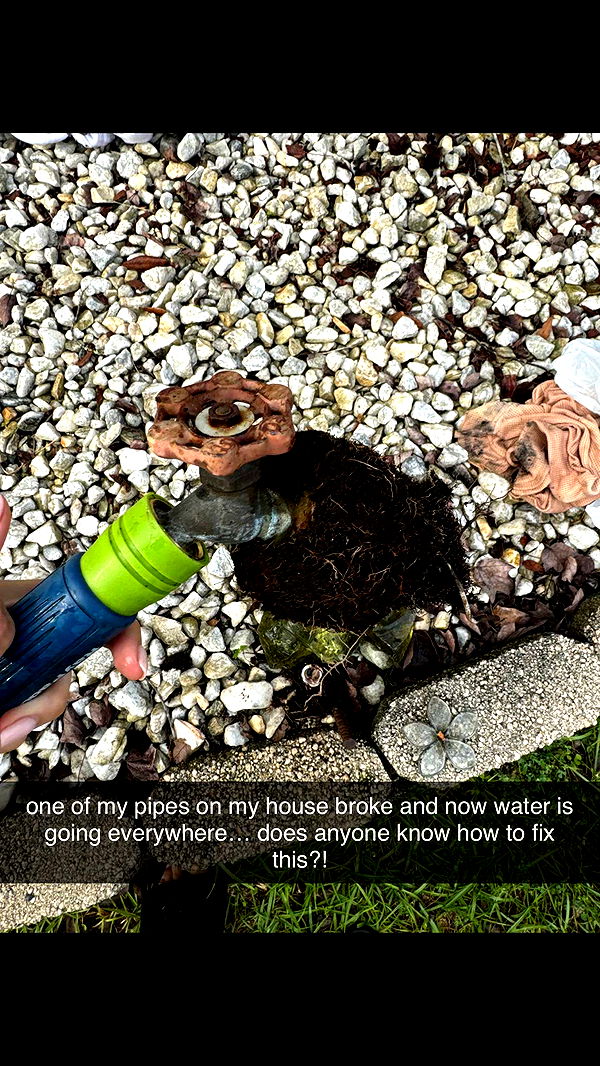 mckinley_1 image ~ Altpins