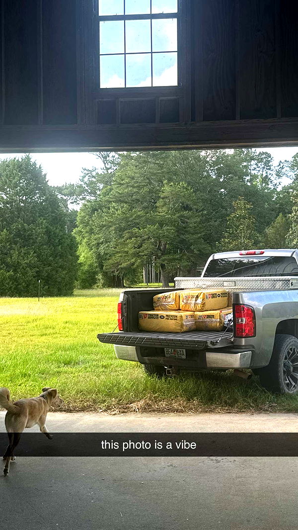 mckinley_1 image ~ Altpins