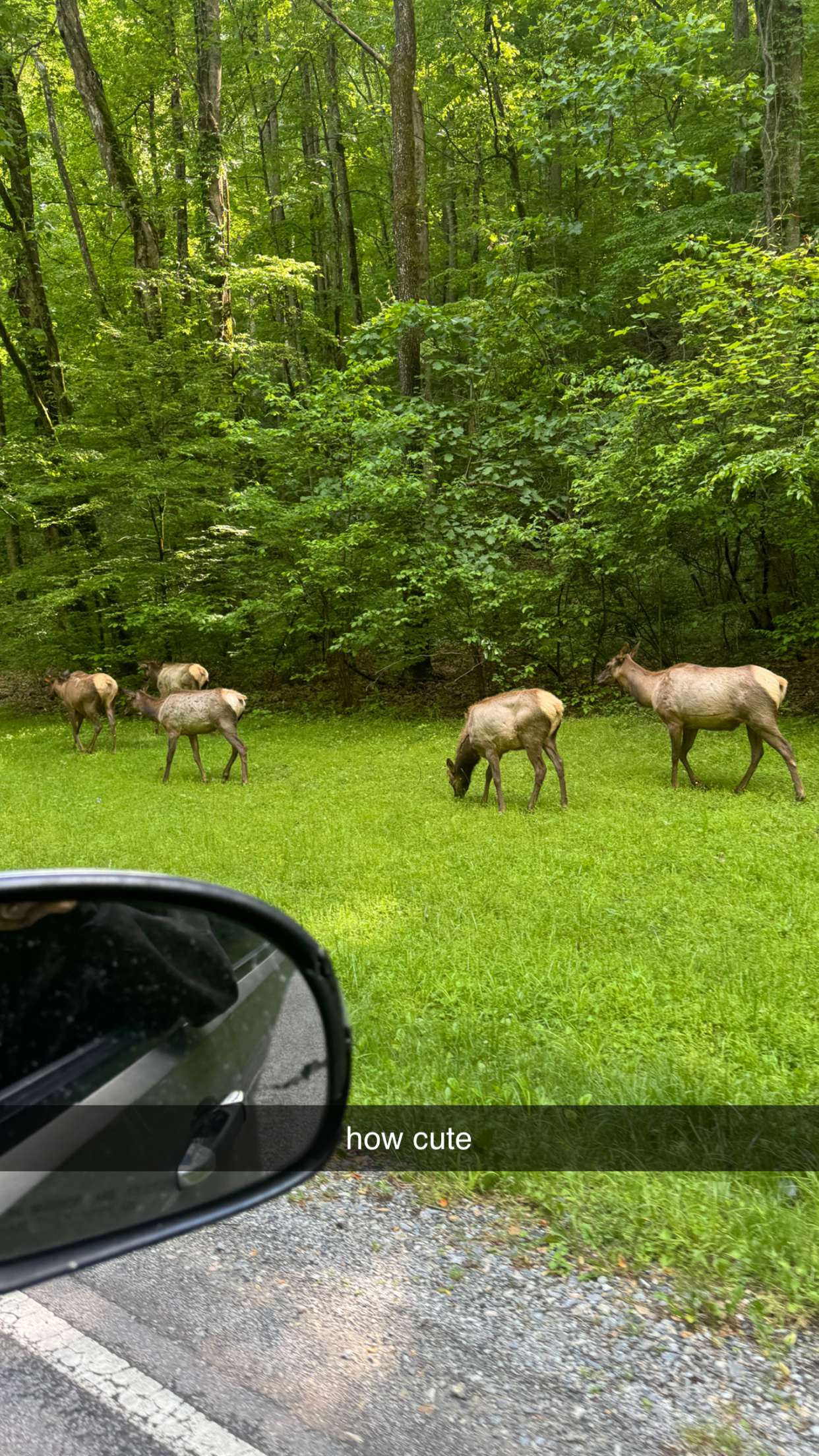 mckinley_1 snapchat image archive image