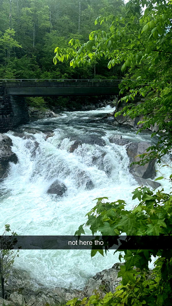 mckinley_1 image ~ Altpins