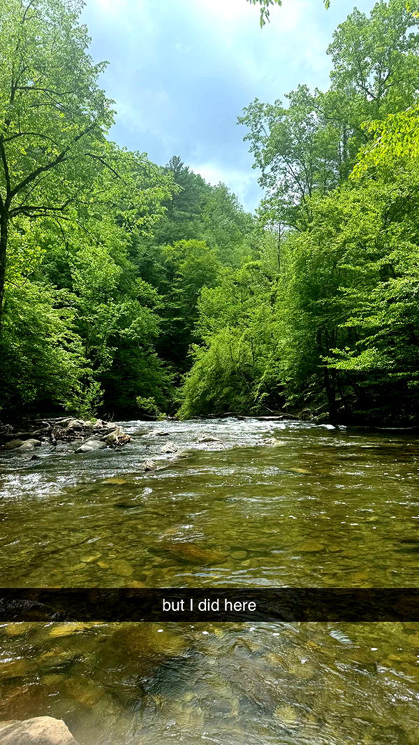 mckinley_1 image ~ Altpins