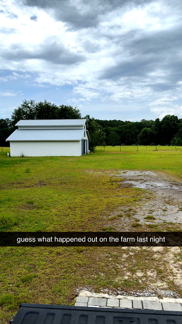 mckinley_1 image ~ Altpins