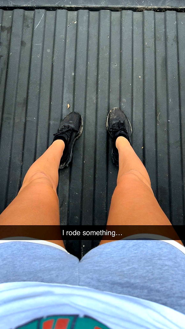 mckinley_1 image ~ Altpins