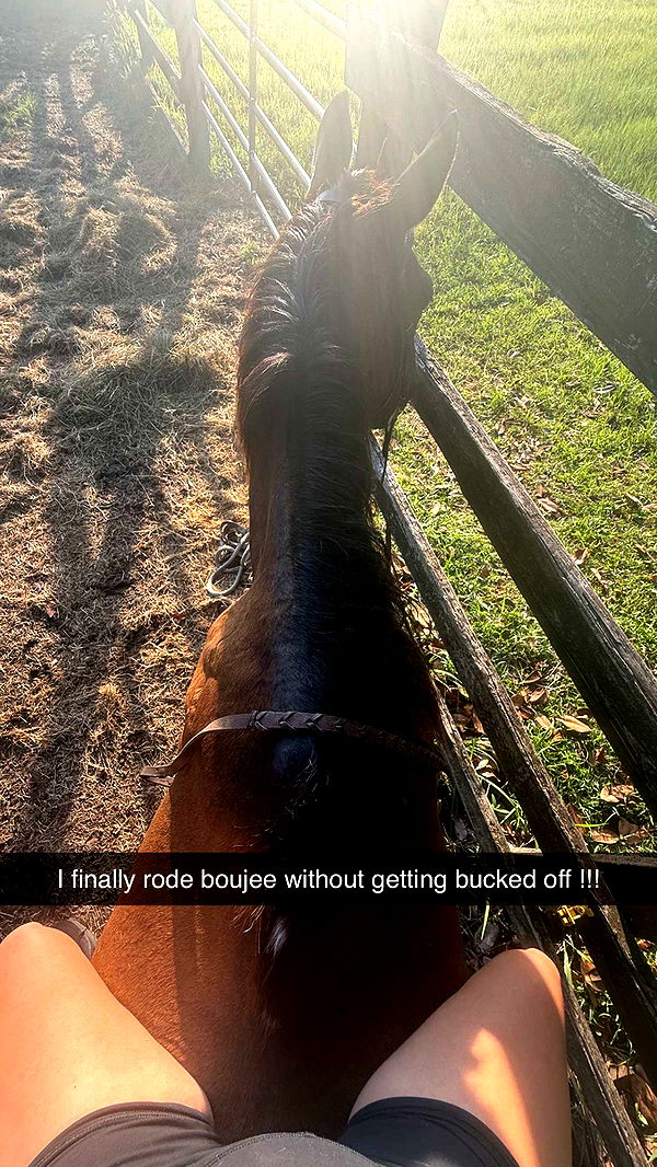 mckinley_1 image ~ Altpins